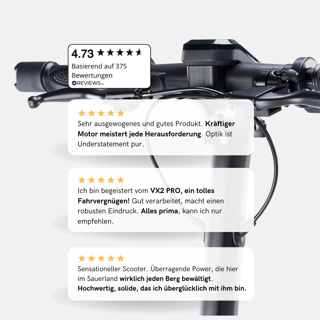 Bewertungen zu dem VMAX VX2 PRO E-Scooter