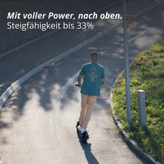 VMAX VX4 und VX2 EXTREME E-Scooter am Berg, 33% Steigfähigkeit
