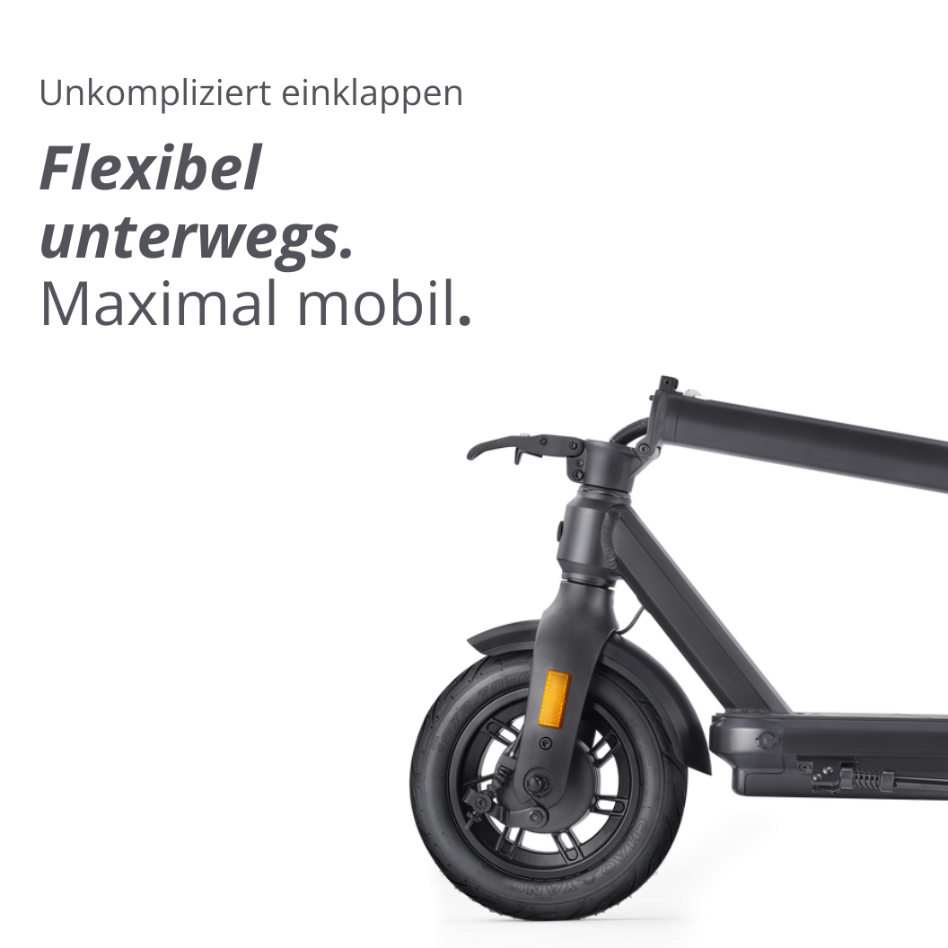 fahrrad franz e scooter VX2 PRO